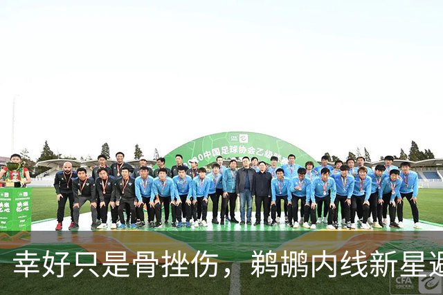 幸好只是骨挫伤，鹈鹕内线新星避免了重大伤病的发生？